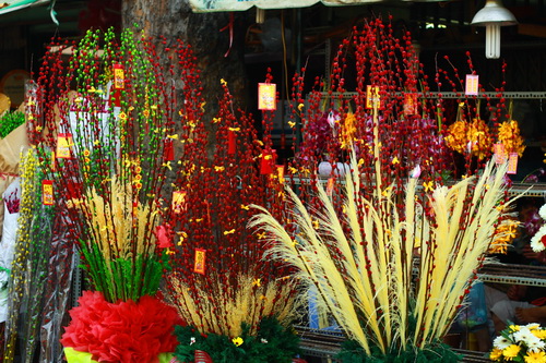 Hoa nụ tầm xuân tại quận Tân Bình sang trọng